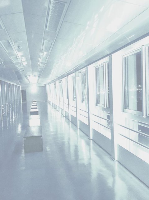 津島善子ちゃんbirthday びゅうお館内特別ライトアップ 新着ニュース 沼津市公式観光サイト 沼津観光ポータル