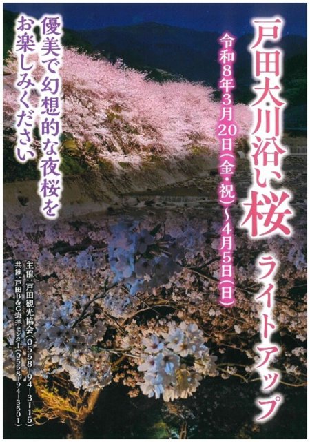 戸田大川沿い桜ライトアップ