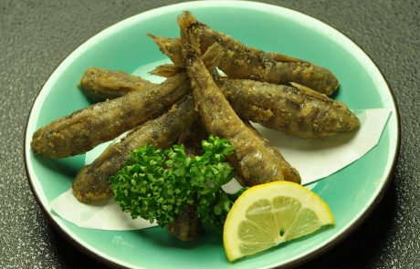 ゴールデンウィークに「深海魚カレー」を道の駅くるら戸田で食べよう！