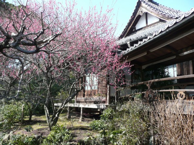 皇室に愛された沼津で、ゆかりの地を巡る旅のバスツアーが催行されました