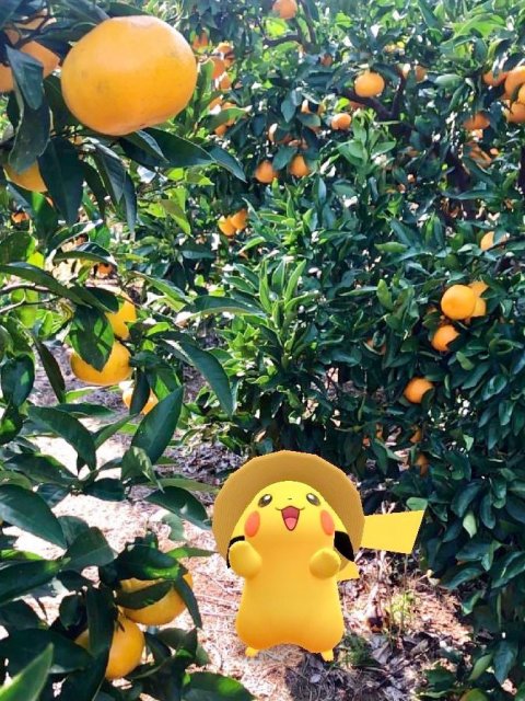 ポケモンgo Arフォトコンテストの受賞作品について 新着ニュース 沼津市公式観光サイト 沼津観光ポータル ポケモンgo Arフォトコンテストの受賞作品について 新着ニュース 沼津市公式観光サイト 沼津観光ポータル