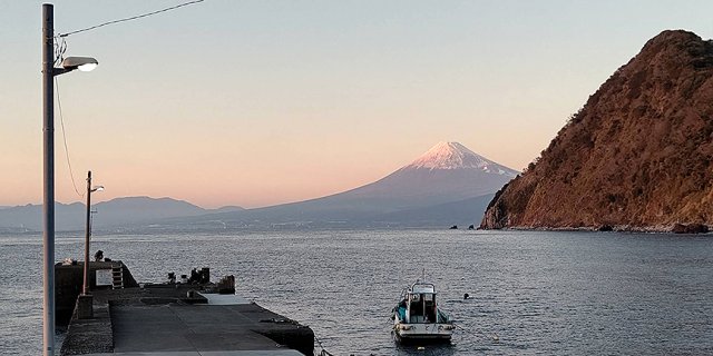 【ロケ情報】映画「さかなのこ」の撮影が沼津市で行われました