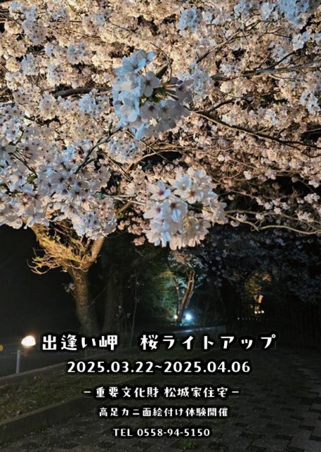 春爛漫‼戸田地区で夜桜ライトアップを実施します！
