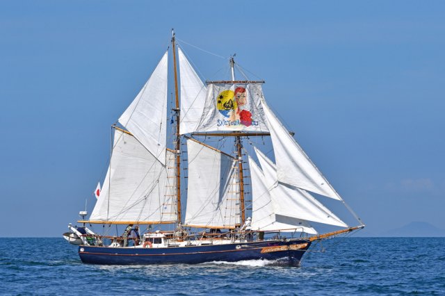 沼津発の小さな帆船が、国際帆船レースに向けスタート!