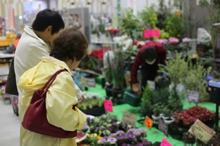 毎年多くの方でにぎわう花と緑の祭典【第92回秋のみどりまつり】