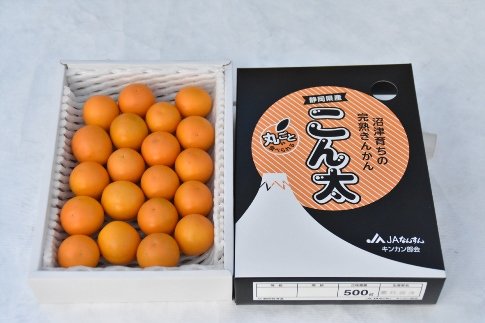 ふるさと納税返礼品としても大人気!【沼津が誇るブランドみかん「寿太郎」・レア柑橘「こん太」】