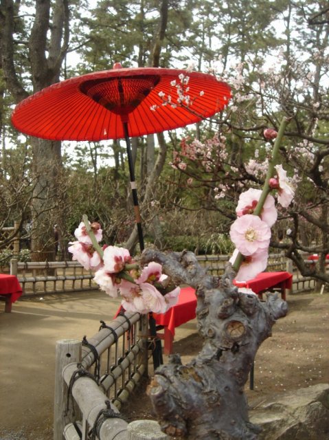 桃の節句ひな飾り