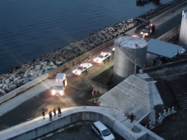 平成27年度撮影実績