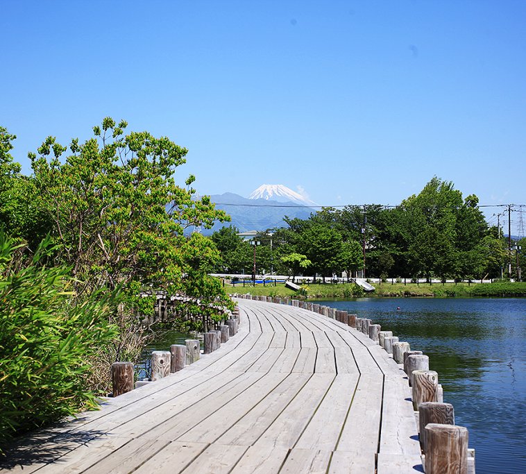 門池