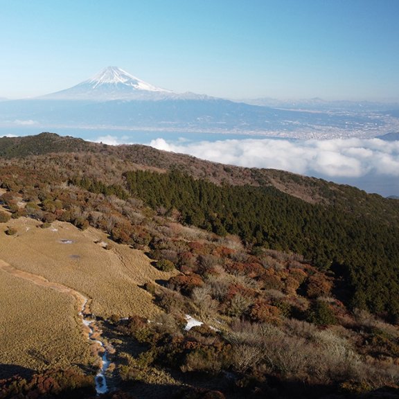 金冠山