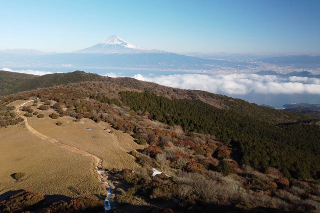 金冠山