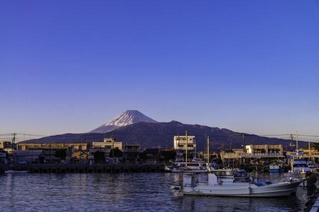 沼津・修善寺・三島を車で巡る！絶景の三島スカイウォークと修善寺温泉、沼津港の早朝セリまで満喫コース