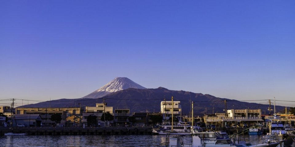 沼津・修善寺・三島を車で巡る！絶景の三島スカイウォークと修善寺温泉、沼津港の早朝セリまで満喫コース