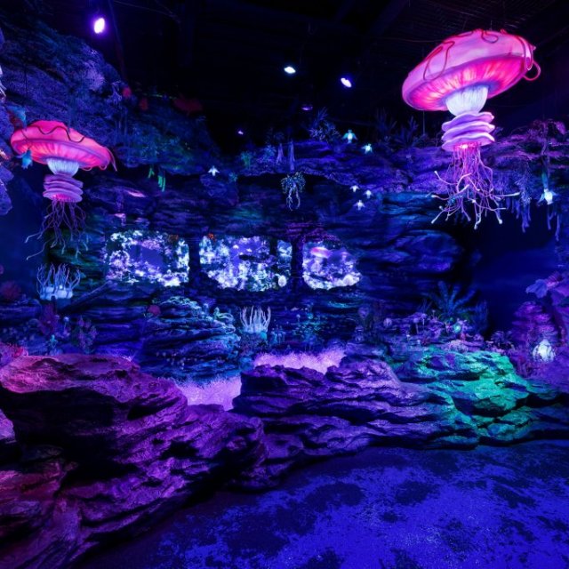沼津港深海水族館〜シーラカンス・ミュージアム〜