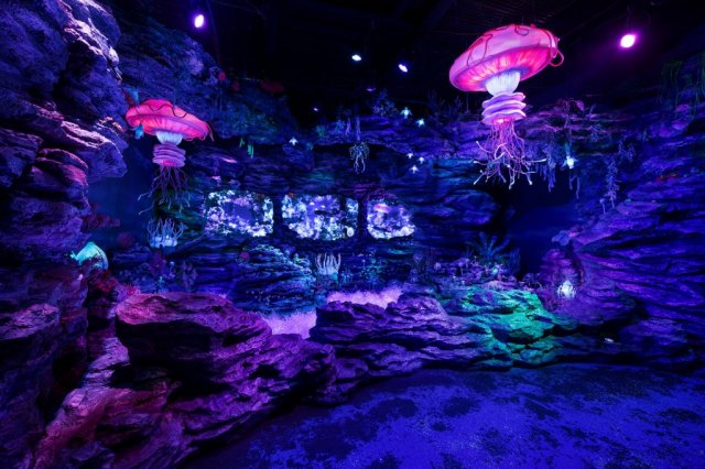 沼津港深海水族館〜シーラカンス・ミュージアム〜