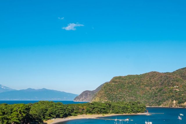 1泊2日でめぐる沼津海鮮グルメ旅｜富士山の絶景と駿河湾の海の幸を満喫しよう