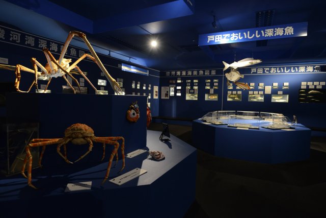 戸田造船郷土資料博物館・駿河湾深海生物館