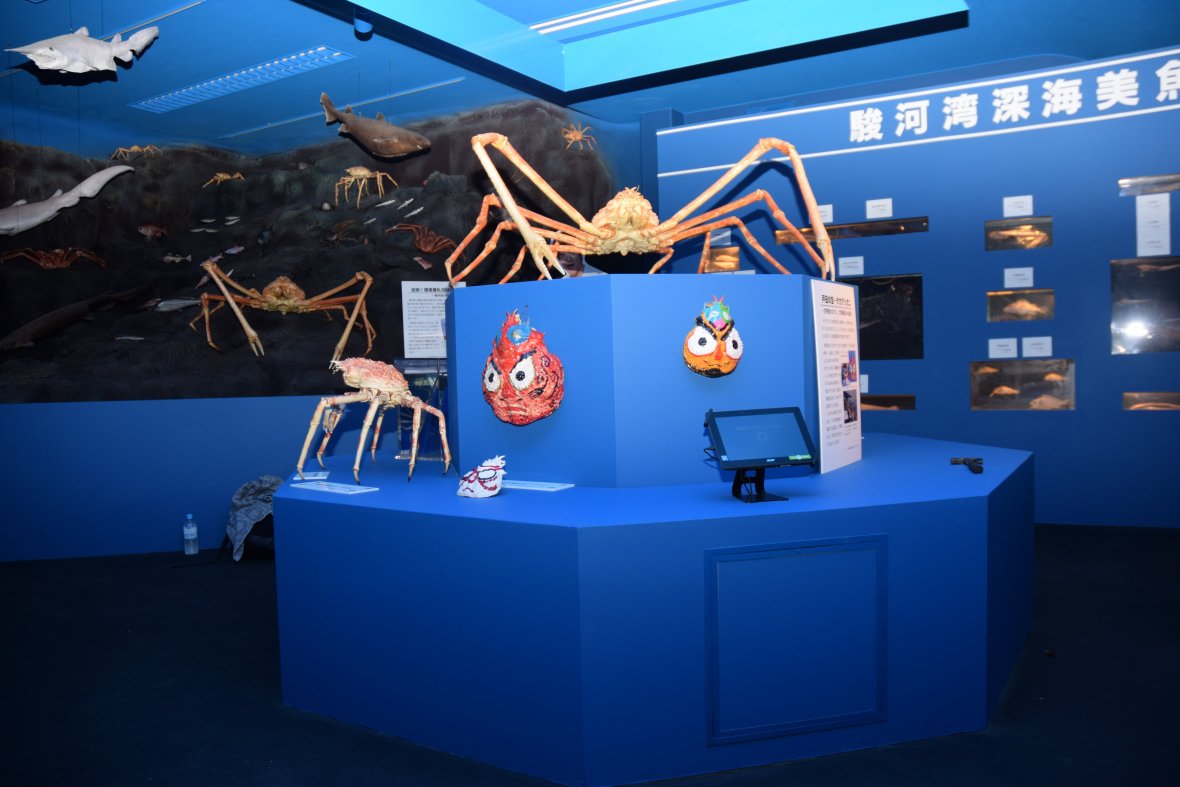 戸田造船郷土資料博物館 駿河湾深海生物館 見る 遊ぶ 沼津市公式観光サイト 沼津観光ポータル