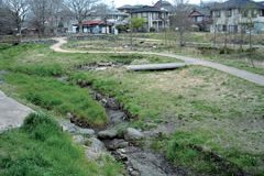 清住緑地【三島市】