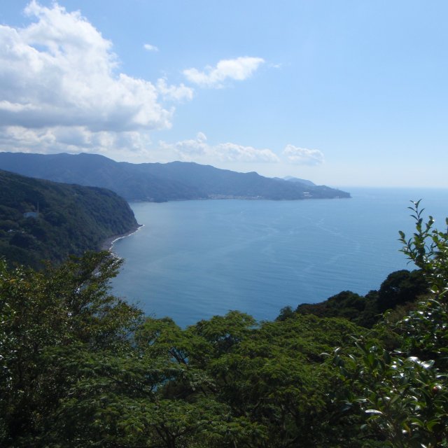 碧の丘
