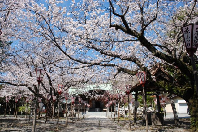 日枝神社花まつり
