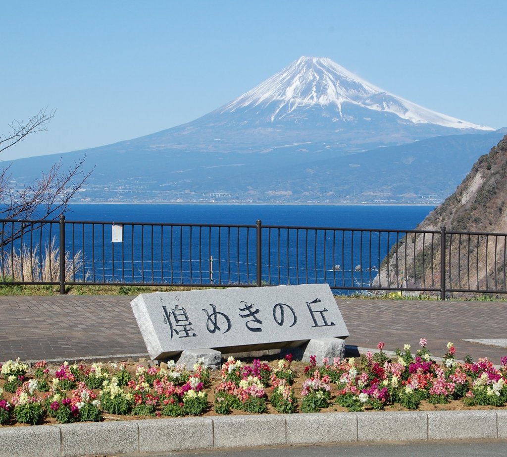 煌めきの丘