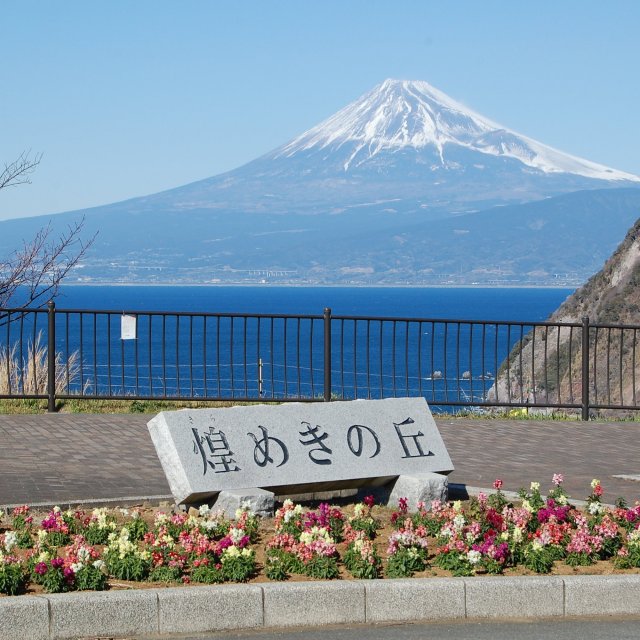 煌めきの丘
