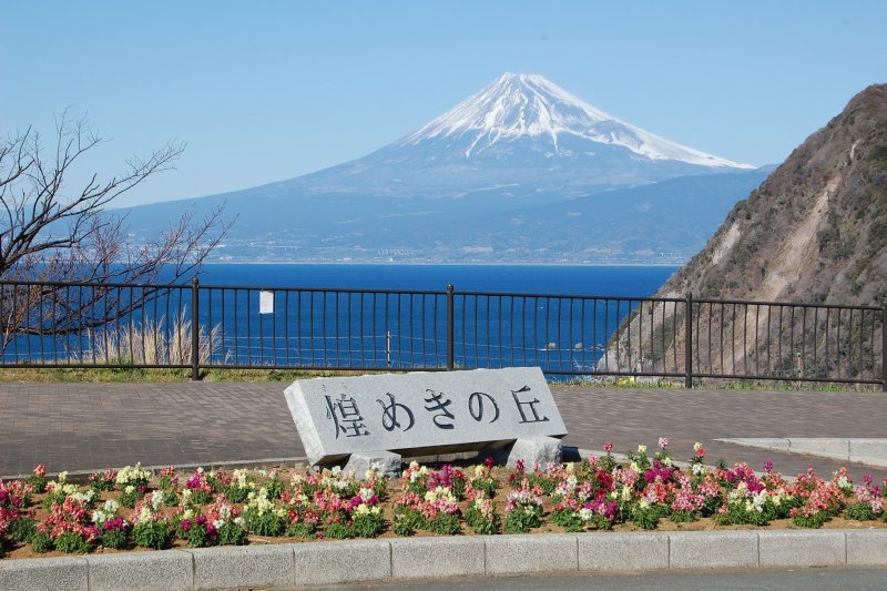 煌めきの丘 見る 遊ぶ 沼津市公式観光サイト 沼津観光ポータル