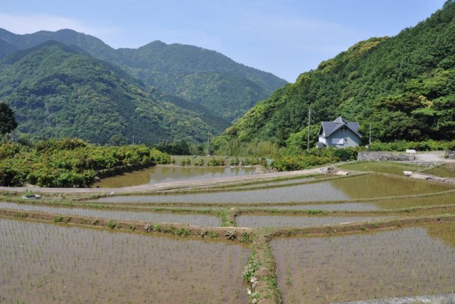 北山の棚田