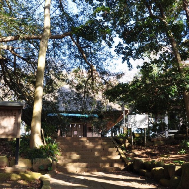 赤野観音堂