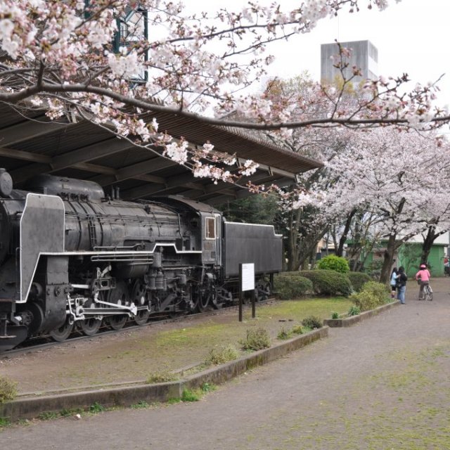 高沢公園のSL