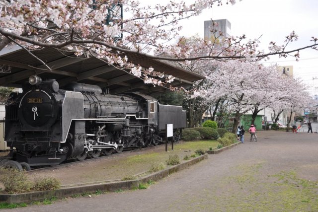 高沢公園のSL