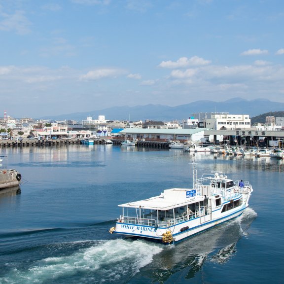 沼津港