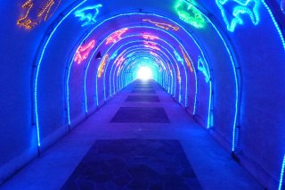 Blue　Cave