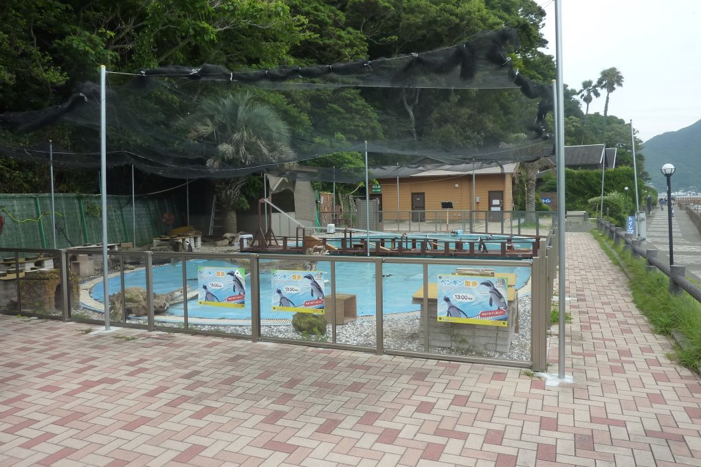 ペンギンプール