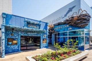 「沼津港深海水族館〜シーラカンス・ミュージアム〜」