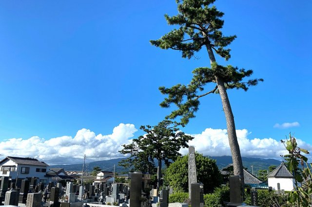 原駅～白隠の里地区の歴史を巡る