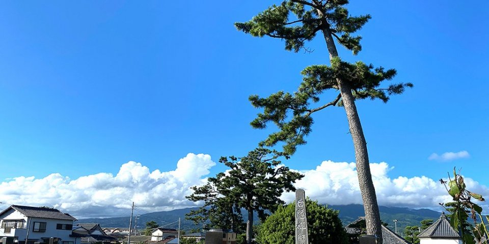 原駅～白隠の里地区の歴史を巡る