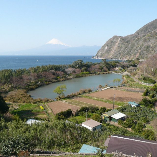 井田