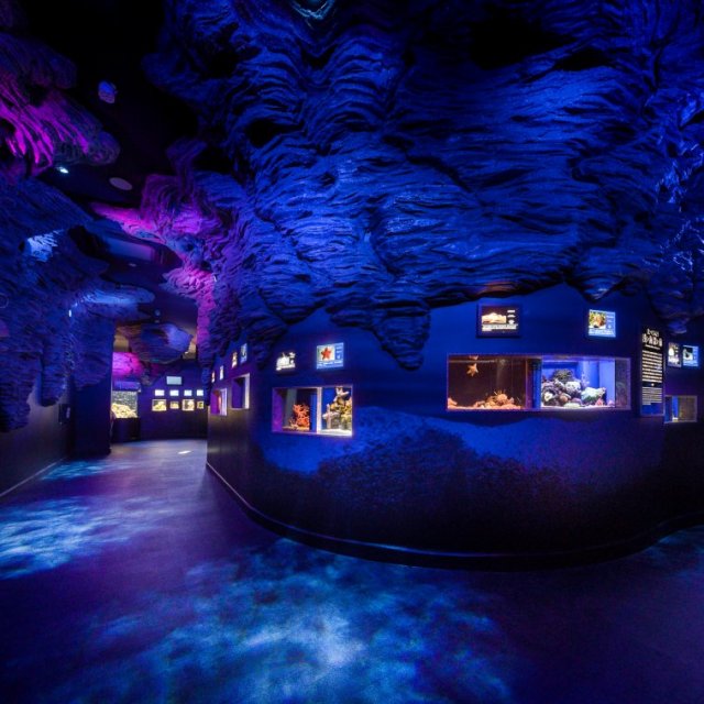 沼津港深海水族館〜シーラカンス・ミュージアム〜