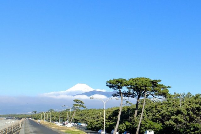 千本松原