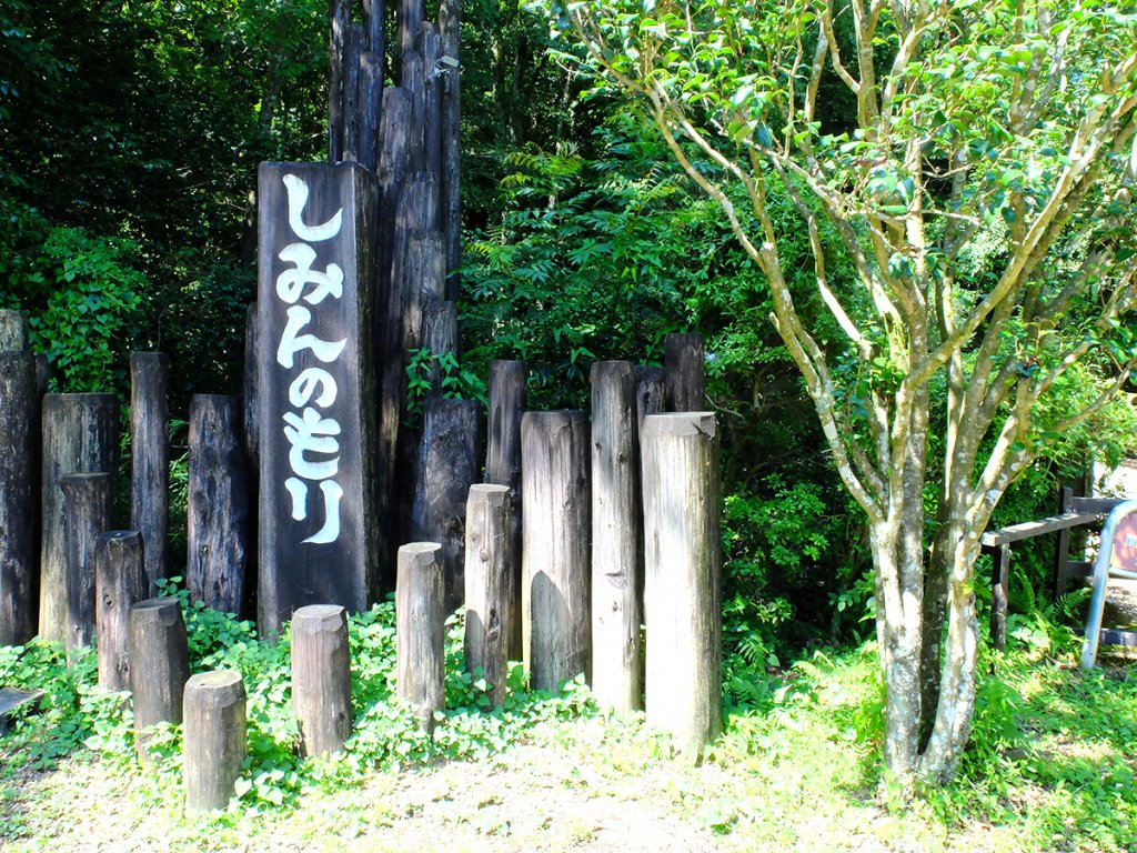 沼津 市民の森