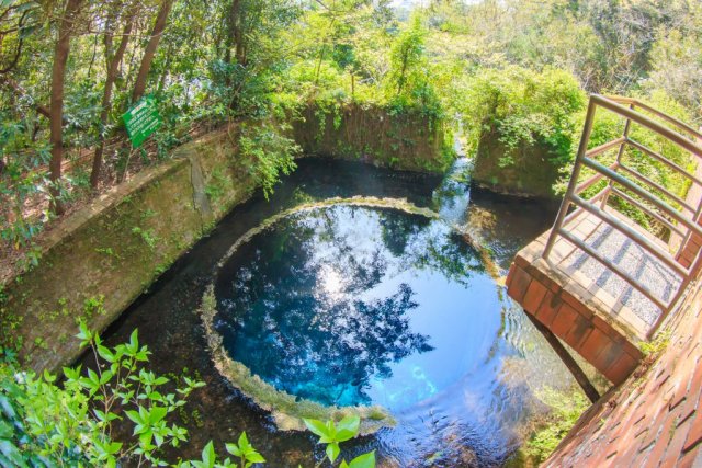 柿田川公園でランチ＆散策