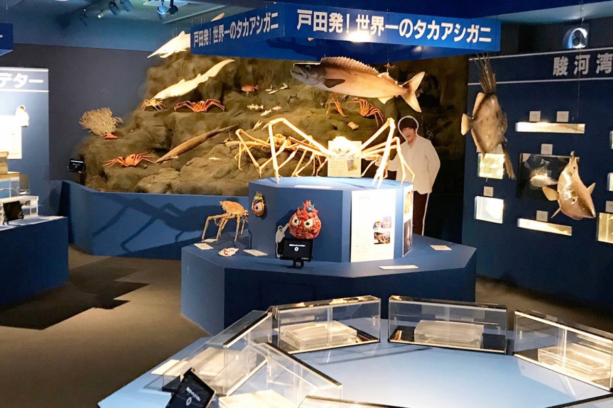 戸田で深海魚を知る・食べる