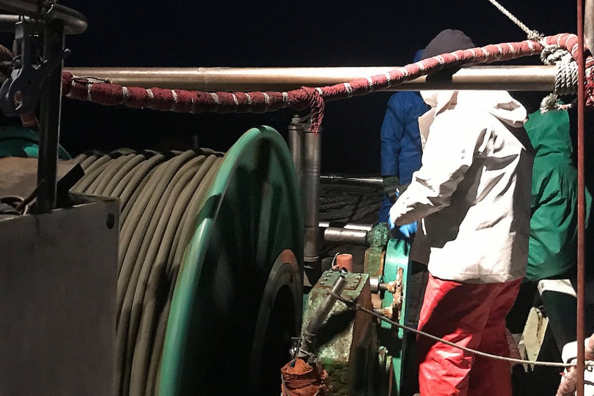 戸田の深海魚漁（トロール漁）