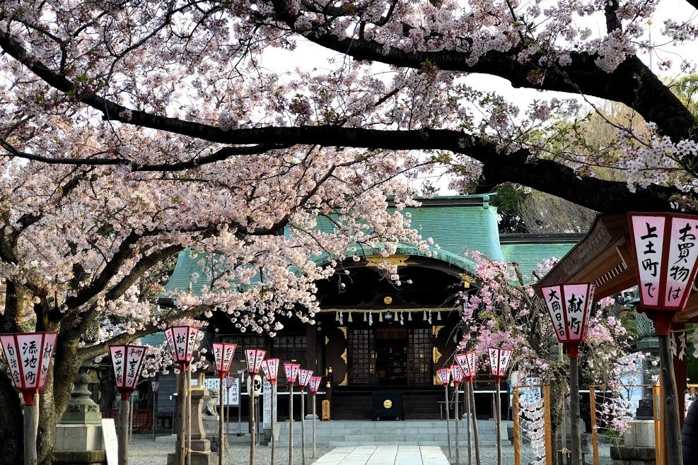 沼津のパワースポット　日枝神社