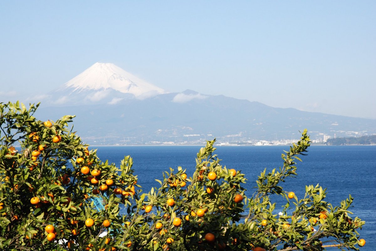 世界遺産 富士山　ここでしか見られない絶景１１選