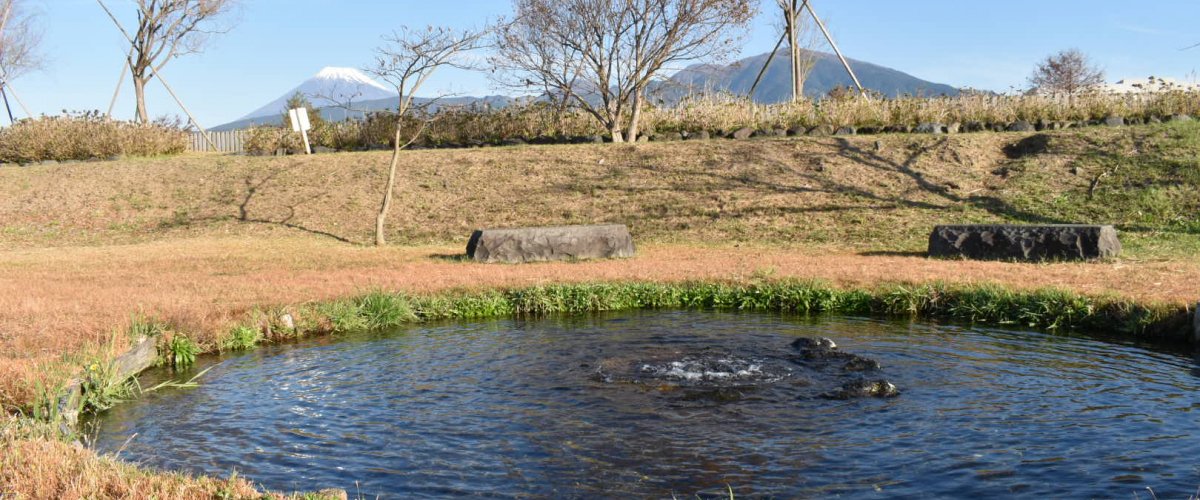 水が湧いている！アクアプラザ遊水地