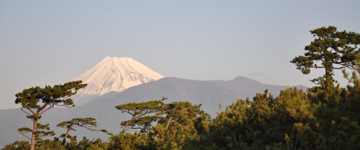 世界遺産 富士山 ここでしか見られない絶景１１選 特集ライブラリー 沼津市公式観光サイト 沼津観光ポータル