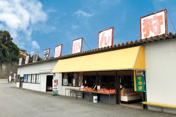 木負（きしょう）ではみかん狩りもできちゃいます